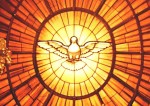 holy-spirit-dove (St Peter's)